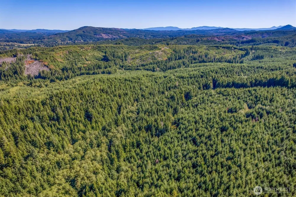 6 Parpala Road #6 Naselle, WA 98638