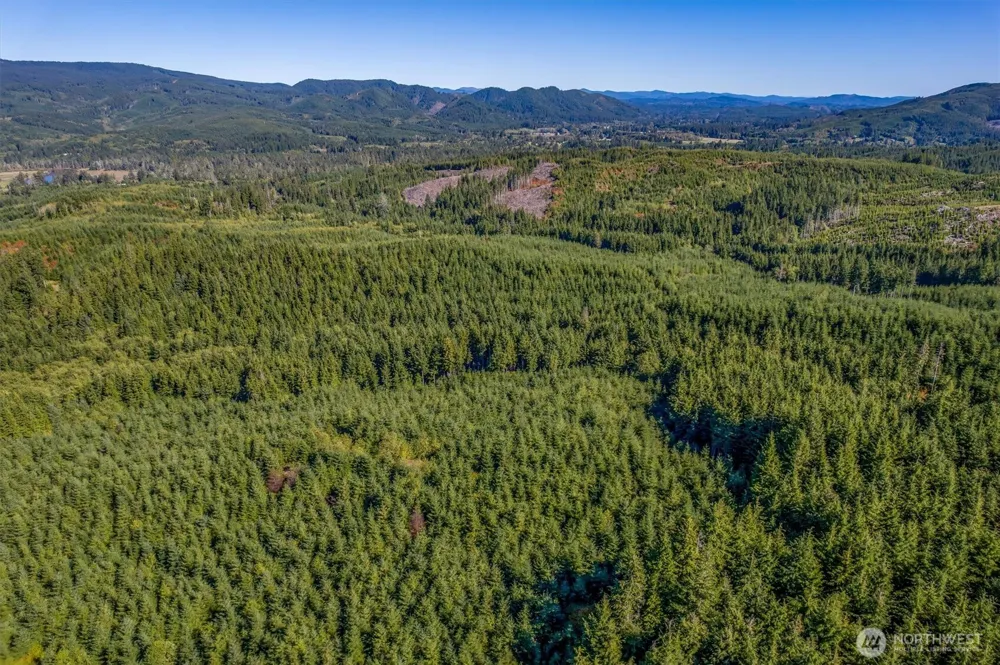 6 Parpala Road #6 Naselle, WA 98638