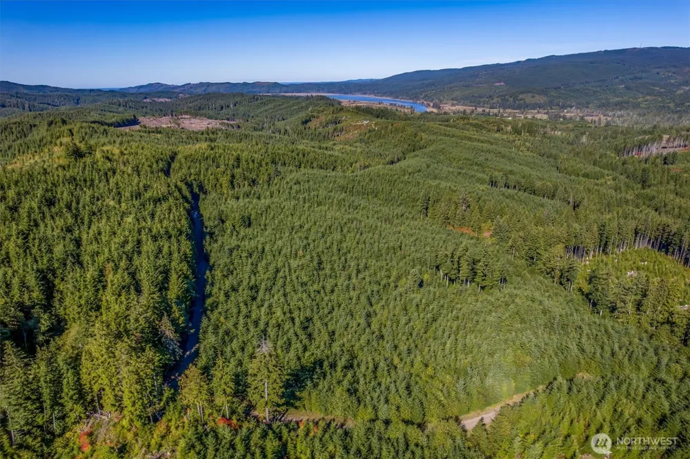 6 Parpala Road #6 Naselle, WA 98638