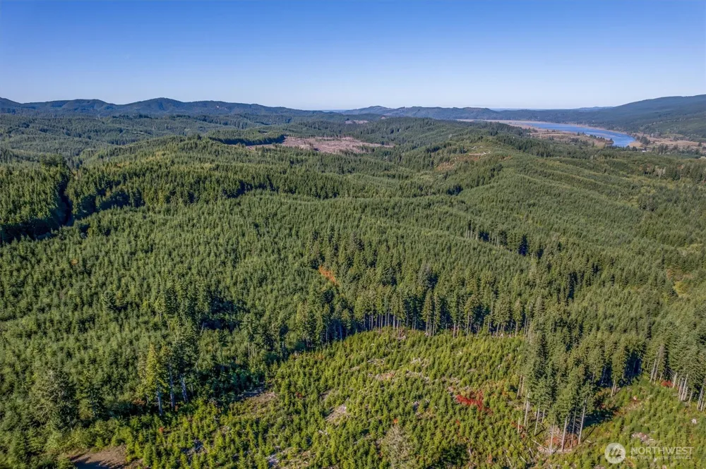 6 Parpala Road #6 Naselle, WA 98638