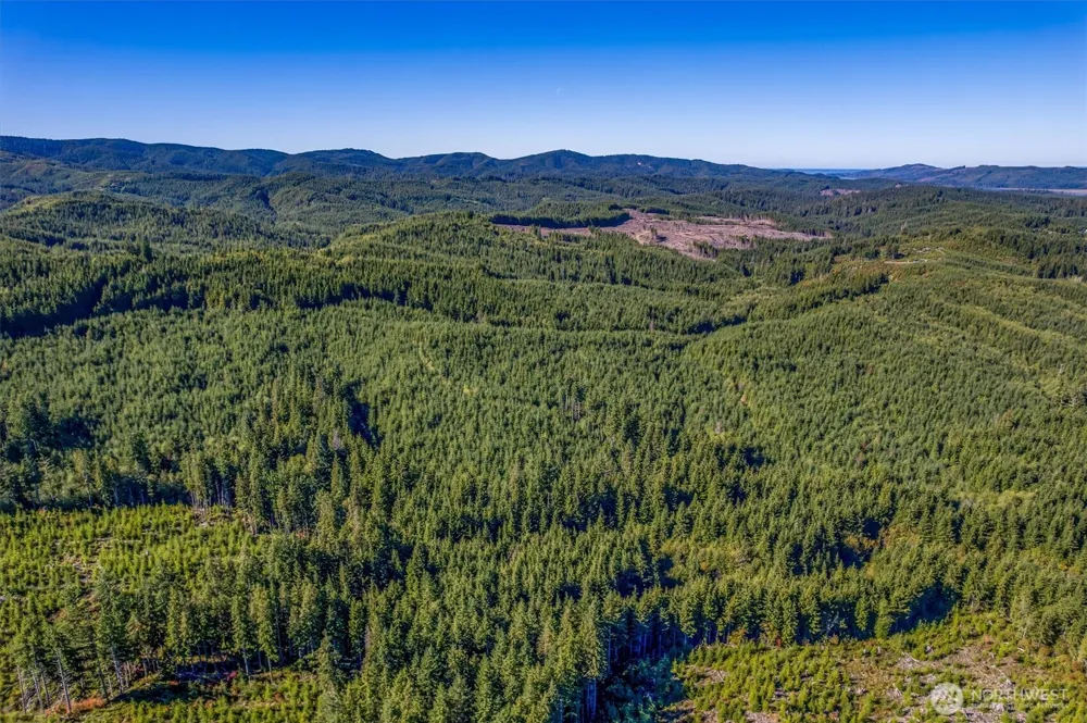 6 Parpala Road #6 Naselle, WA 98638