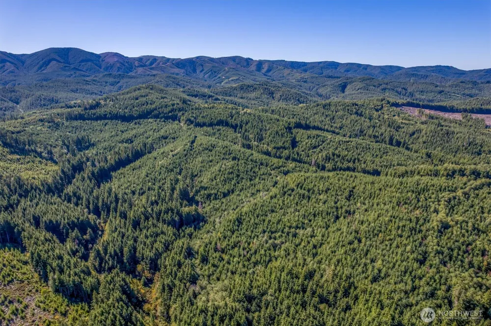 6 Parpala Road #6 Naselle, WA 98638