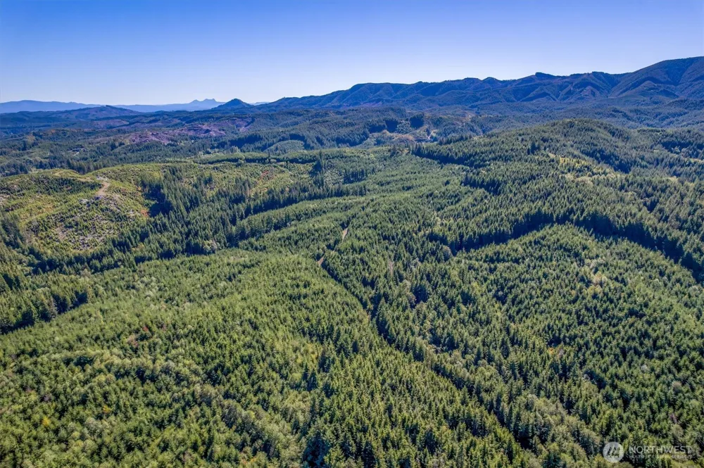 6 Parpala Road #6 Naselle, WA 98638