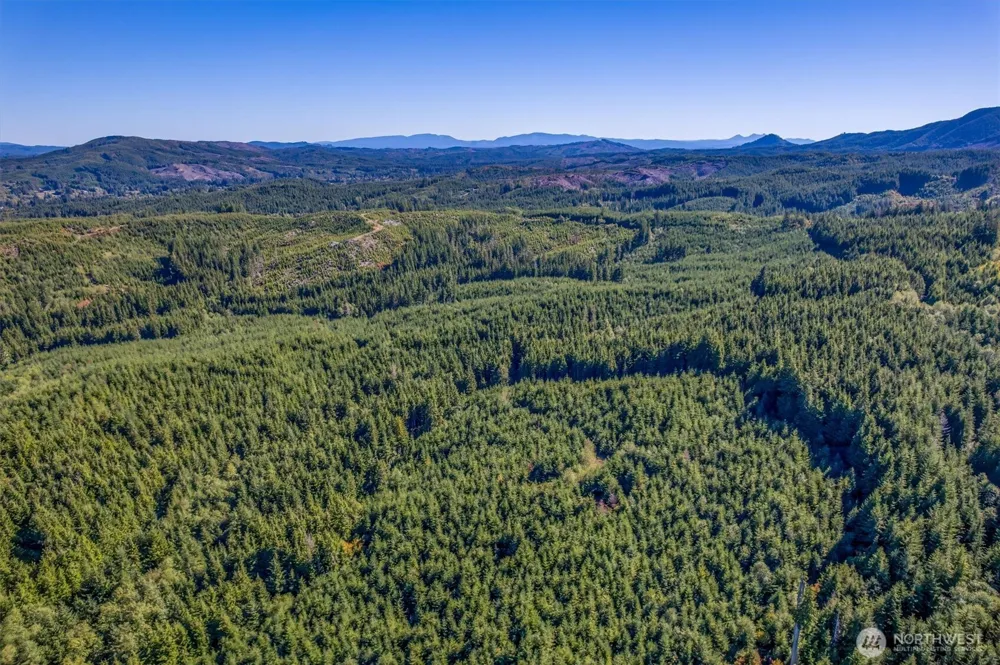 6 Parpala Road #6 Naselle, WA 98638