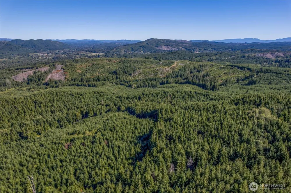 6 Parpala Road #6 Naselle, WA 98638