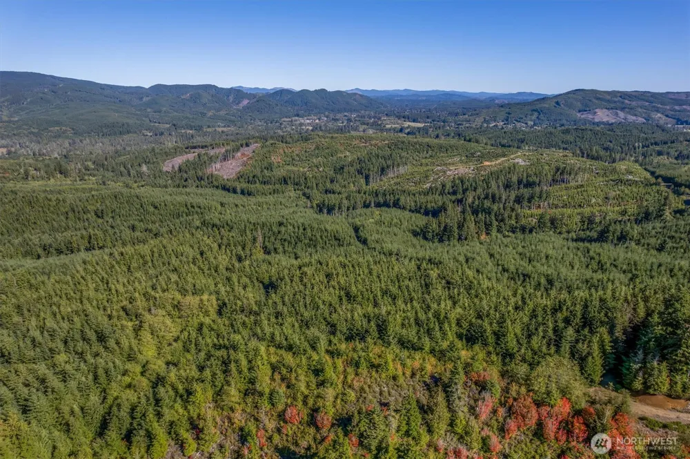 6 Parpala Road #6 Naselle, WA 98638