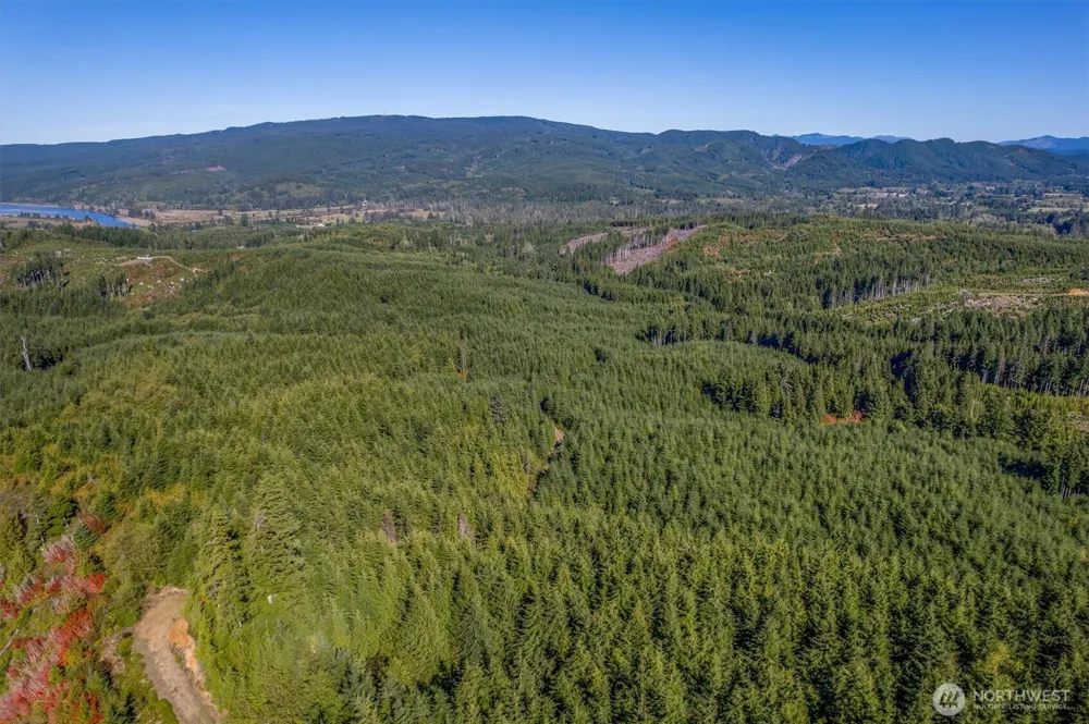 6 Parpala Road #6 Naselle, WA 98638