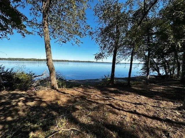 3142 Shadow Pine Drive Larue, TX 75770