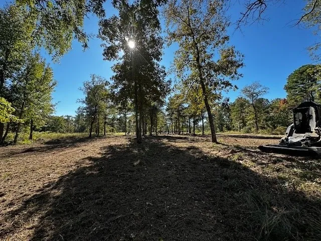 3142 Shadow Pine Drive Larue, TX 75770