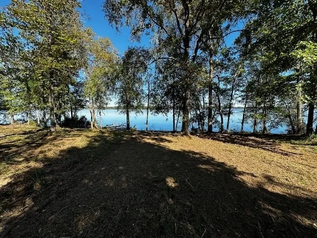 3142 Shadow Pine Drive Larue, TX 75770