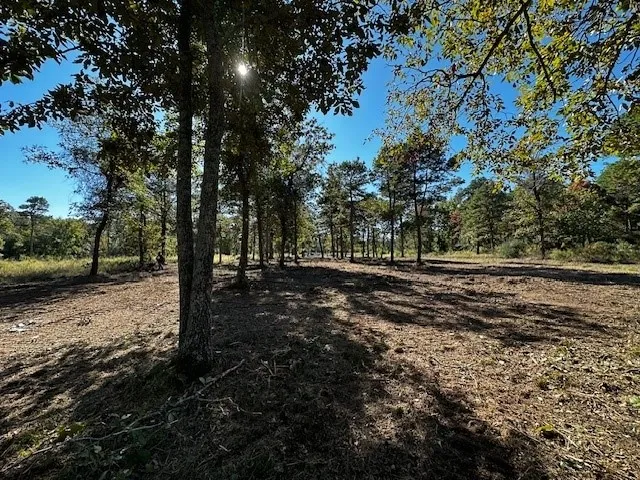 3142 Shadow Pine Drive Larue, TX 75770