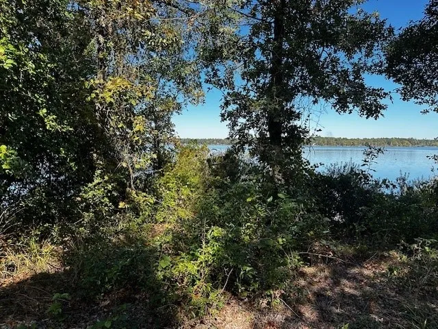 3142 Shadow Pine Drive Larue, TX 75770