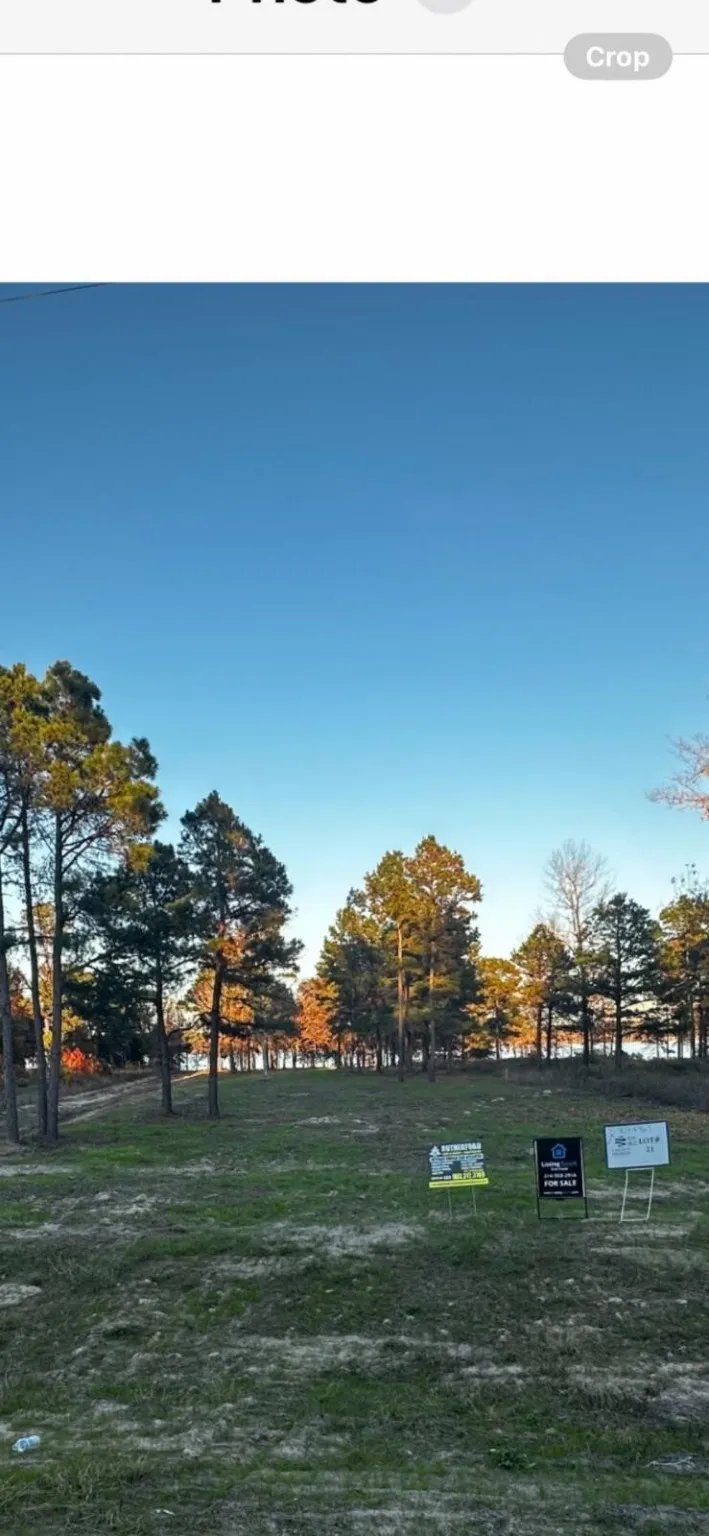 3142 Shadow Pine Drive Larue, TX 75770
