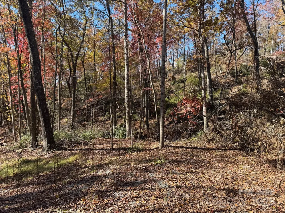 00 Normcol Road Pisgah Forest, NC 28768