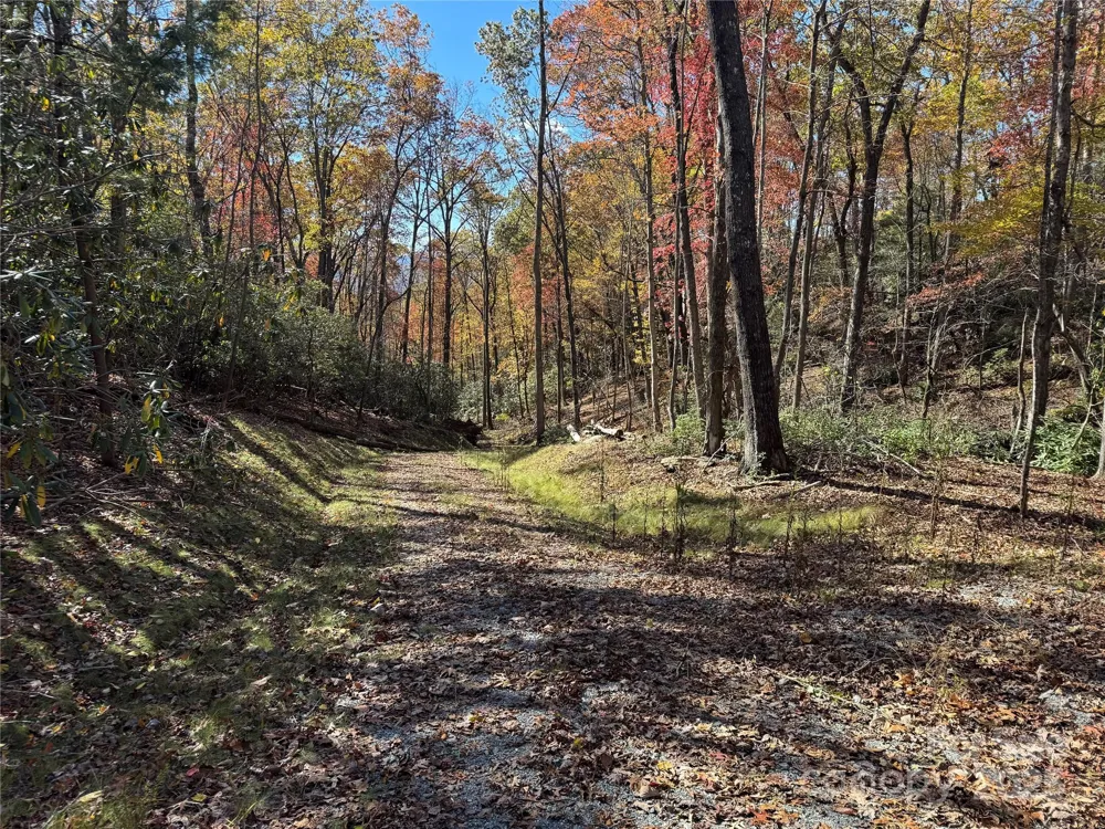 00 Normcol Road Pisgah Forest, NC 28768