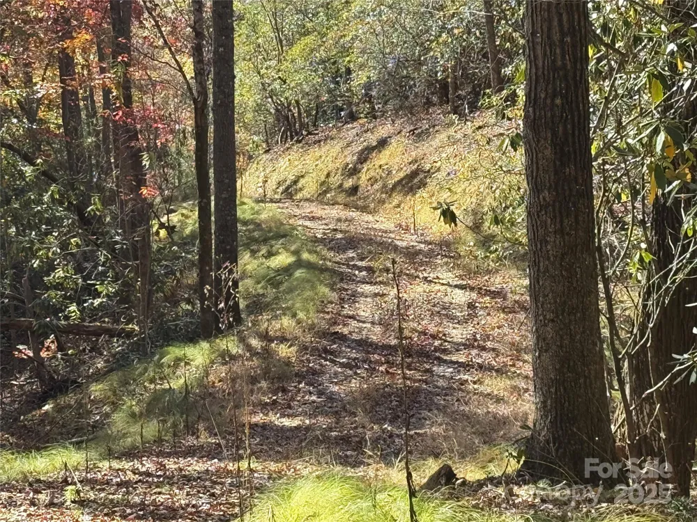 00 Normcol Road Pisgah Forest, NC 28768