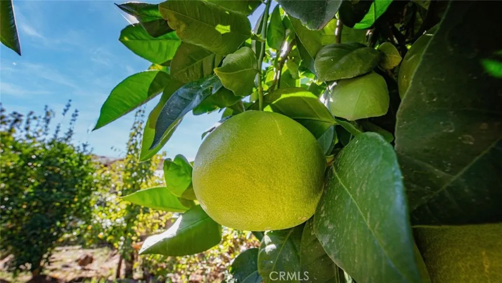 18413 Deer Hill Road Hidden Valley Lake, CA 95467