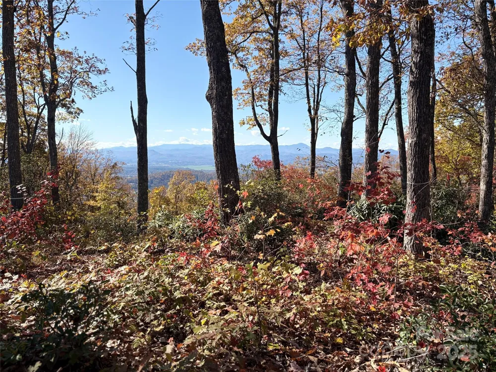 Lot 64 Feather Stone Drive Fletcher, NC 28732