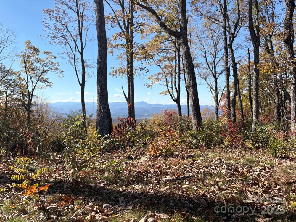 Lot 64 Feather Stone Drive Fletcher, NC 28732