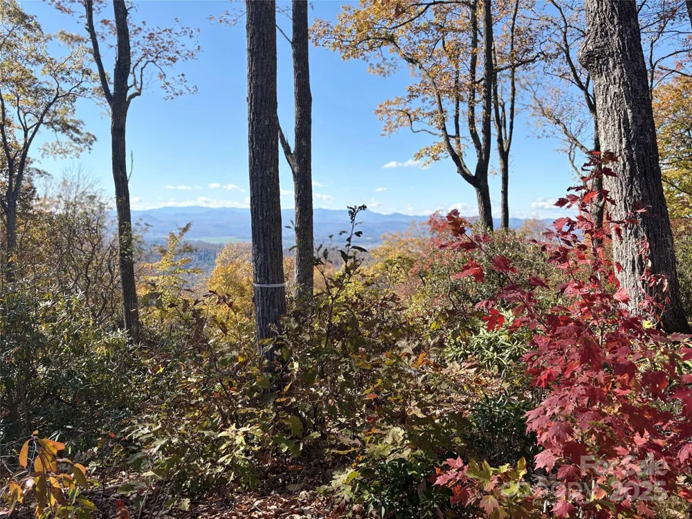 Lot 64 Feather Stone Drive Fletcher, NC 28732