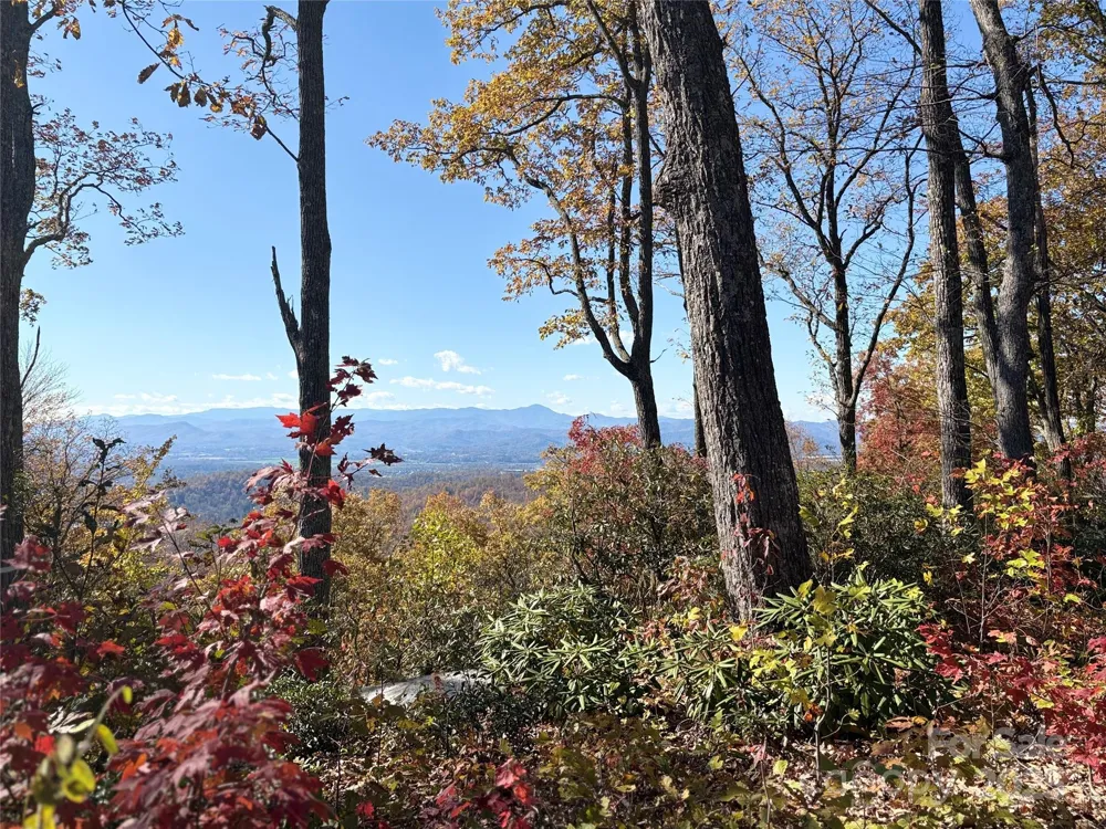 Lot 64 Feather Stone Drive Fletcher, NC 28732
