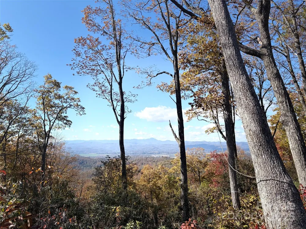 Lot 64 Feather Stone Drive Fletcher, NC 28732