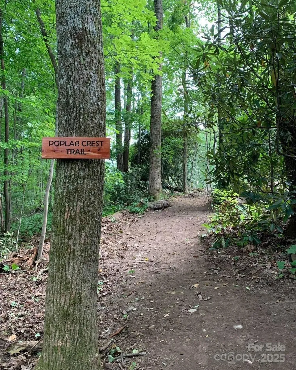 Lot 64 Feather Stone Drive Fletcher, NC 28732