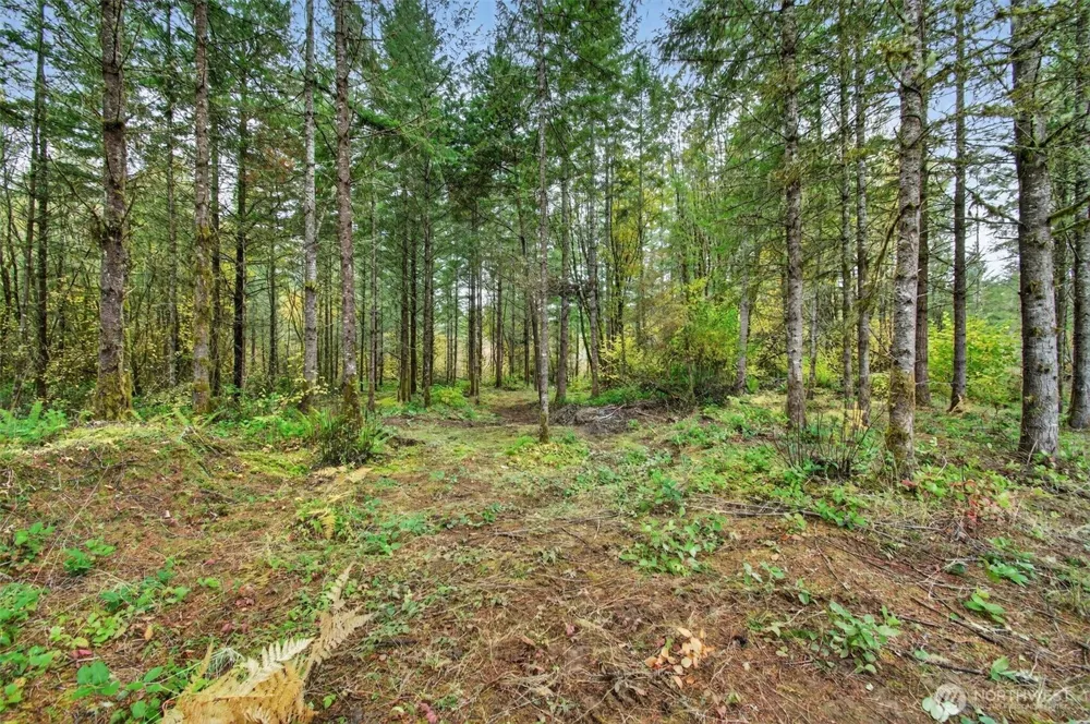 131 Kuty Drive Toledo, WA 98591