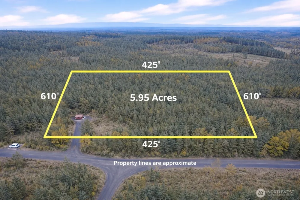 131 Kuty Drive Toledo, WA 98591