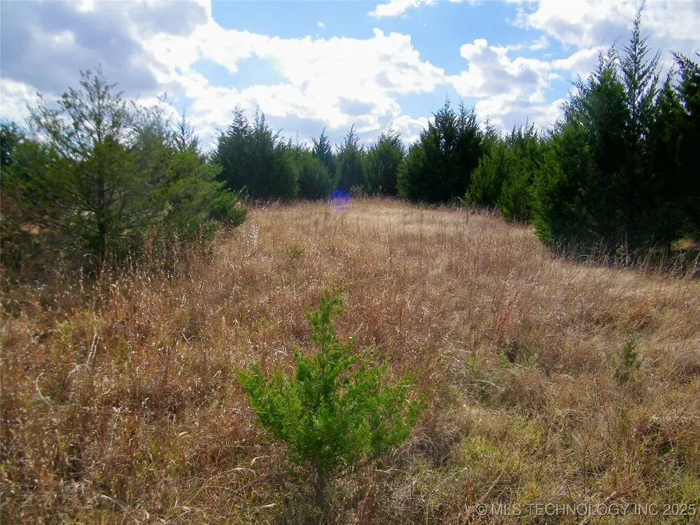 E 1020 ROAD Prague, OK 74864
