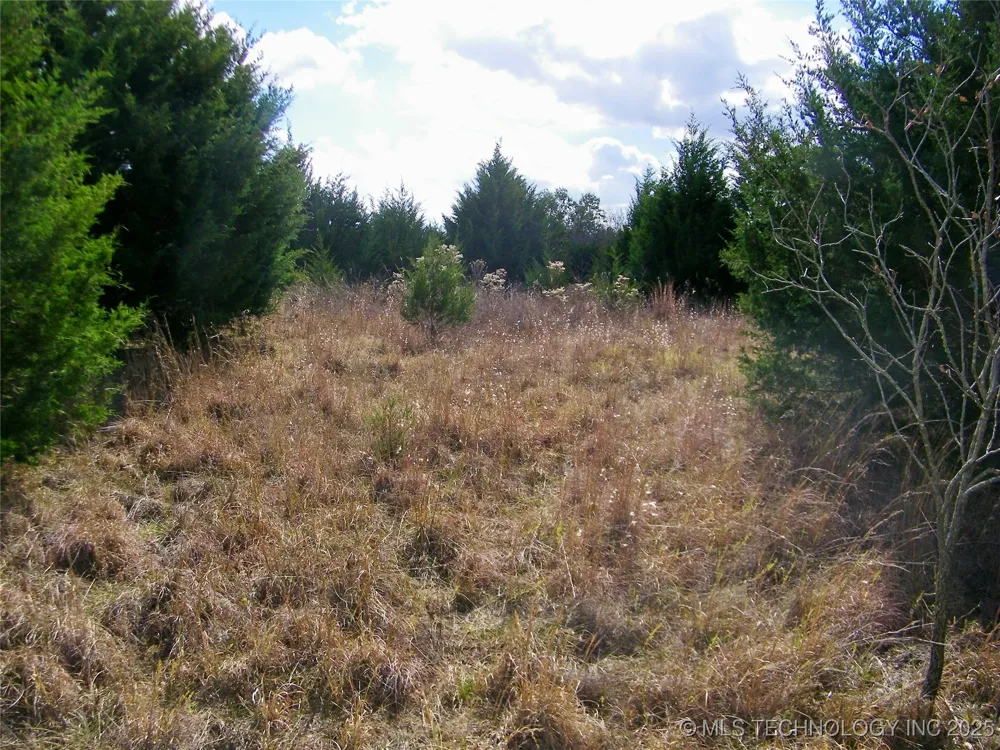 E 1020 ROAD Prague, OK 74864