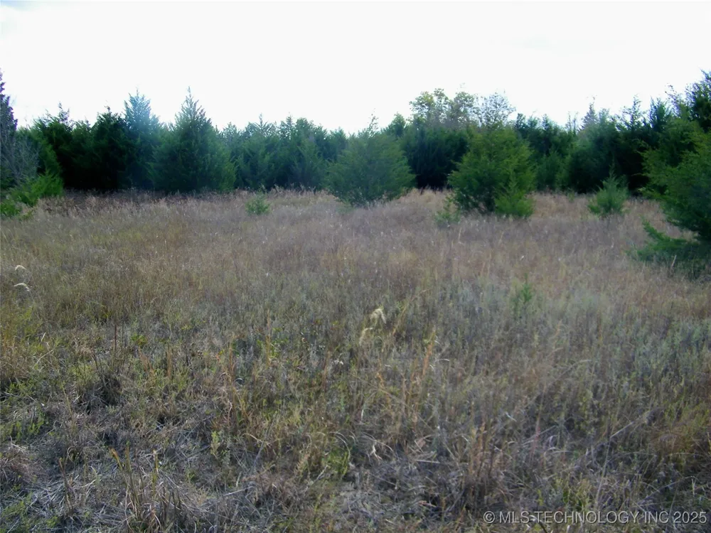 E 1020 ROAD Prague, OK 74864