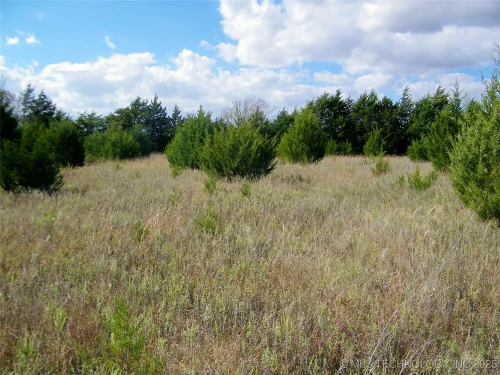 E 1020 ROAD Prague, OK 74864