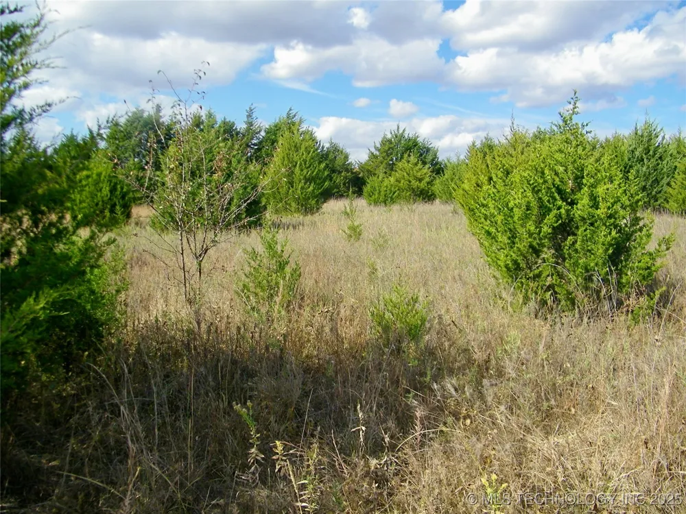 E 1020 ROAD Prague, OK 74864