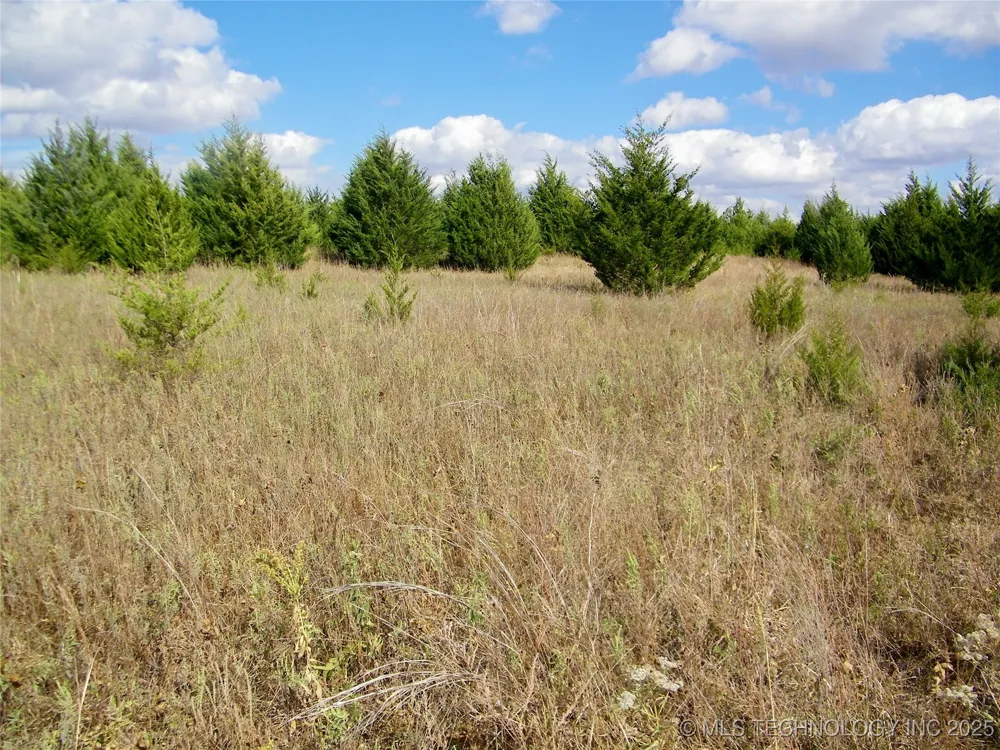 E 1020 ROAD Prague, OK 74864