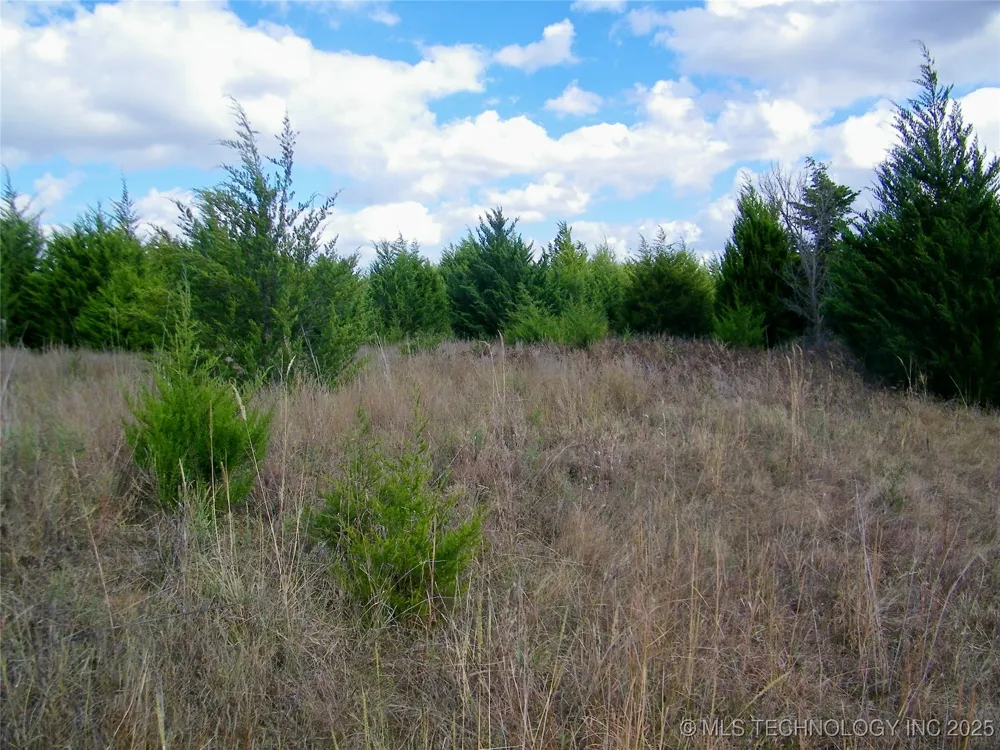 E 1020 ROAD Prague, OK 74864