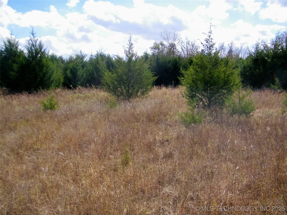 E 1020 ROAD Prague, OK 74864