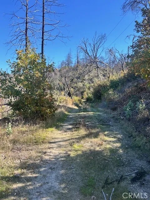 Craig Access Feather Falls, CA 95940