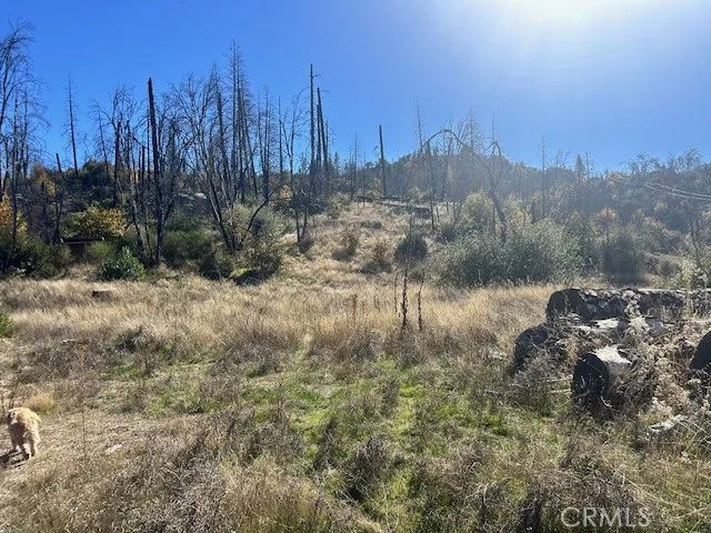Craig Access Feather Falls, CA 95940
