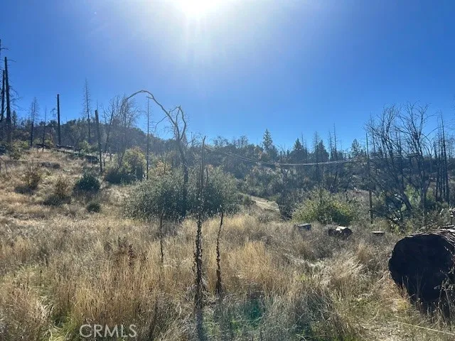 Craig Access Feather Falls, CA 95940