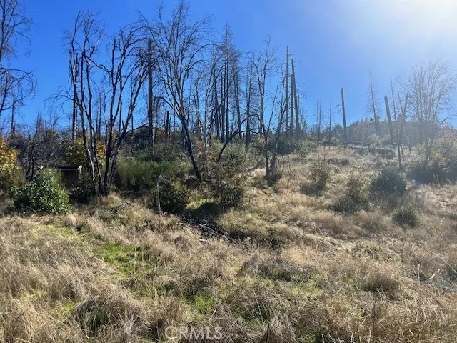 Craig Access Feather Falls, CA 95940
