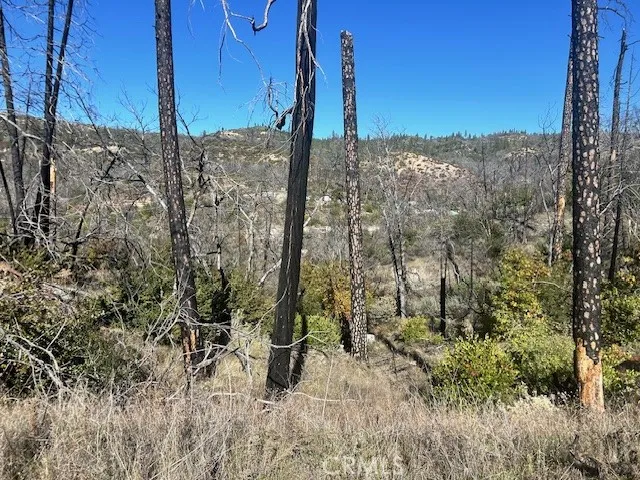 Craig Access Feather Falls, CA 95940