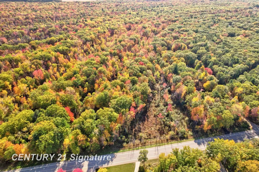 Port Austin Road Lake Township, MI 48725
