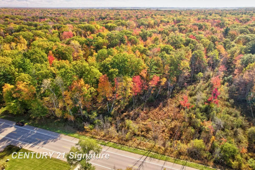 Port Austin Road Lake Township, MI 48725