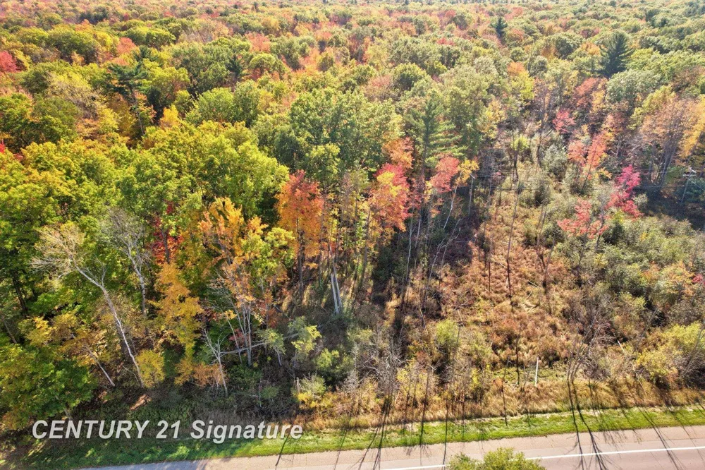 Port Austin Road Lake Township, MI 48725