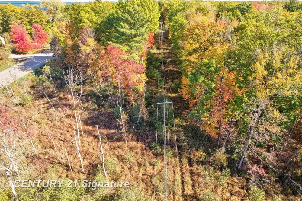 Port Austin Road Lake Township, MI 48725