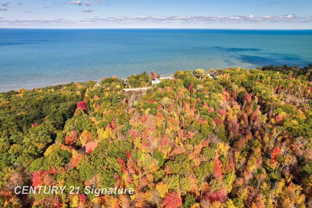 Port Austin Road Lake Township, MI 48725