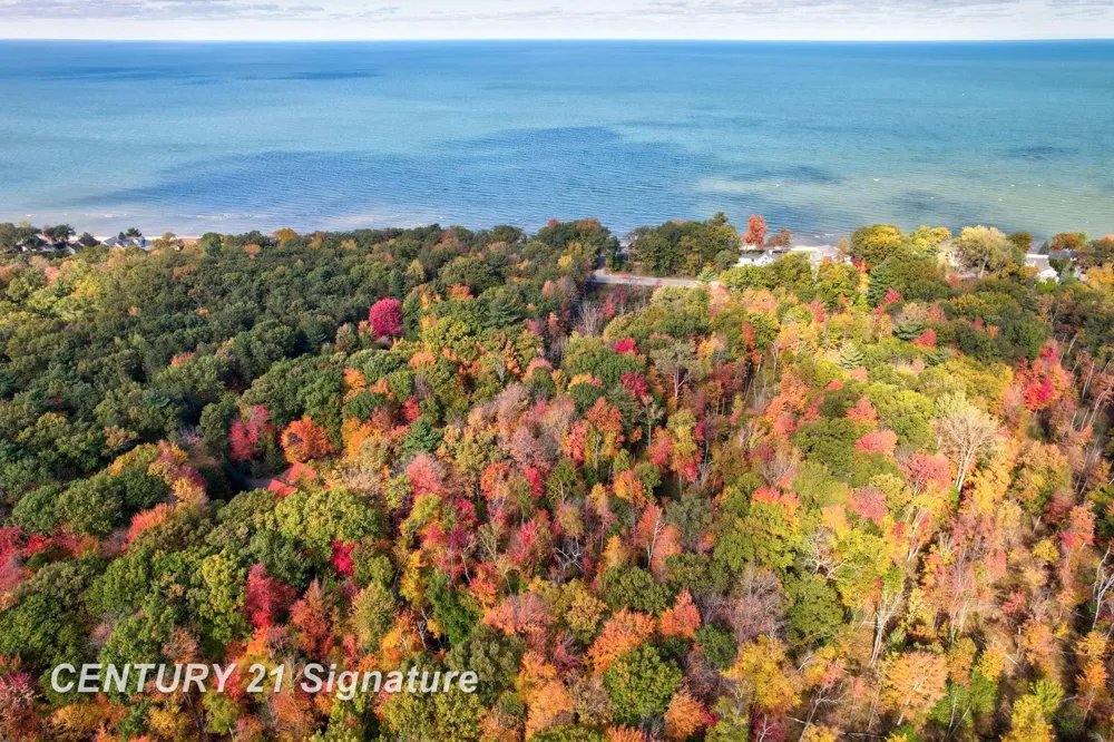 Port Austin Road Lake Township, MI 48725