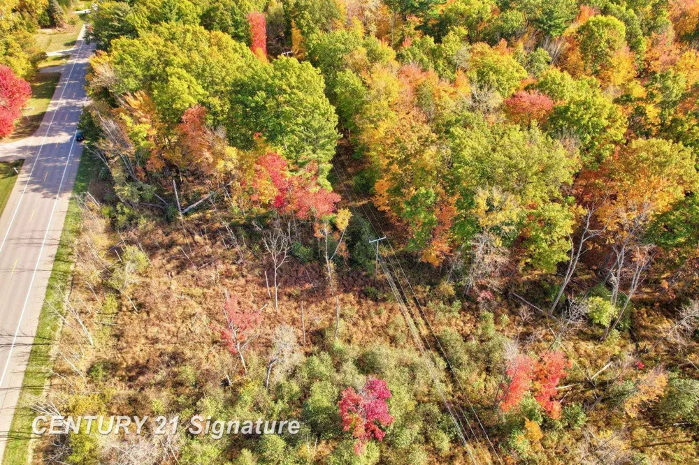 Port Austin Road Lake Township, MI 48725