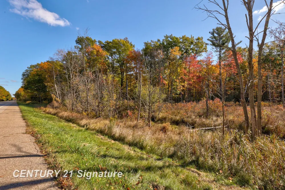 Port Austin Road Lake Township, MI 48725